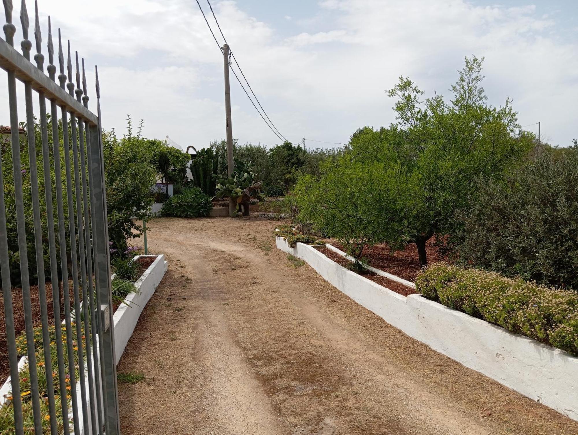 Villa Del Sole Спекиола Екстериор снимка