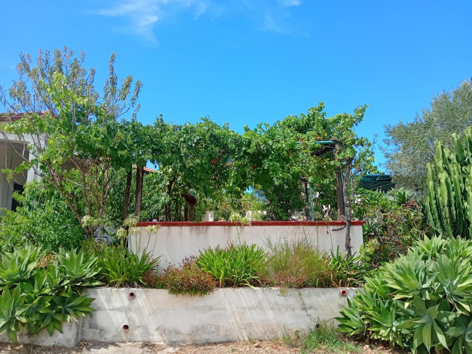 Villa Del Sole Спекиола Екстериор снимка