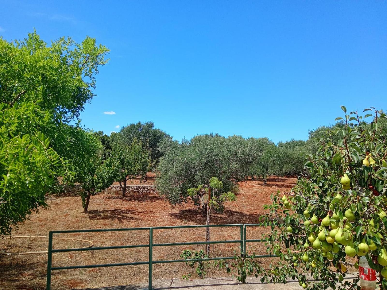Villa Del Sole Спекиола Екстериор снимка