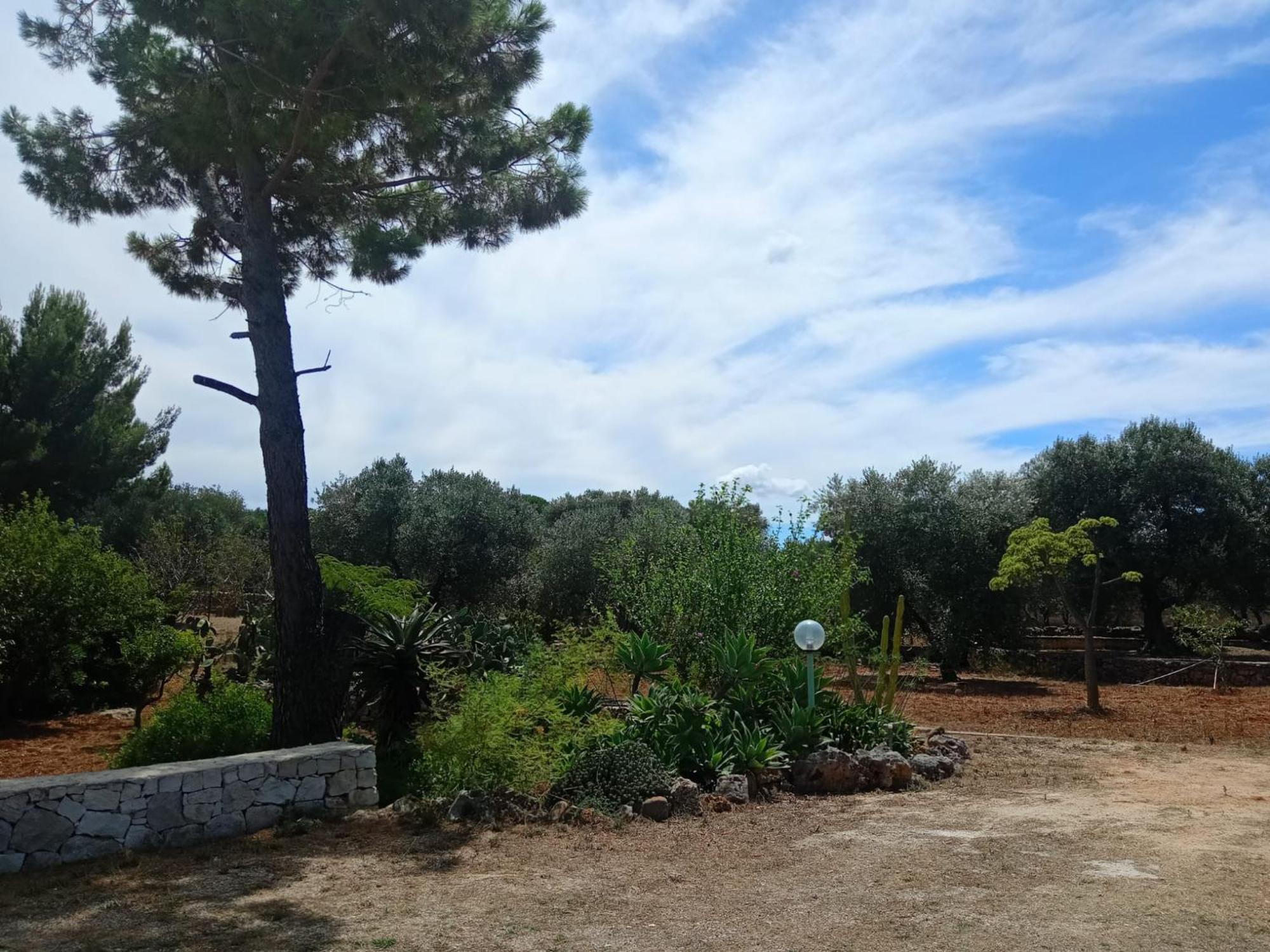 Villa Del Sole Спекиола Екстериор снимка